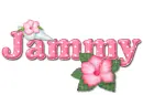 Pink Hibiscus: Jammy