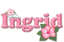 Pink Hibiscus: Ingrid