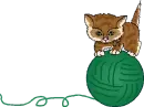 Kitten Play