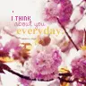 everyday