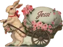 Easter Bunny - Jessi