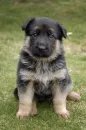 Don't abuse please