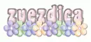 Zvezdica