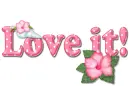 Pink Hibiscus: Love it