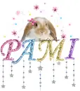 Pami