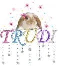 Trudi