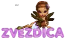Zvezdica