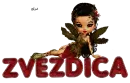 Zvezdica