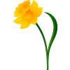 Easter Flower