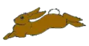 Brown Rabbit
