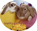 happy easter friend!