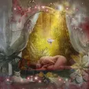 sleeping faerie