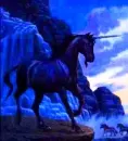 black unicorn
