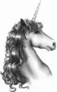 unicorn