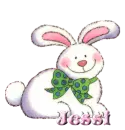 Rabbit - Jessi