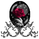 red rose globe