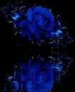 Blue Phantasy