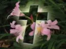 HAPPY EASTER