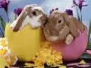 HAPPY EASTER