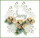 Sorry