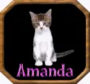 Amanda