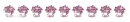 Floral Divider 1
