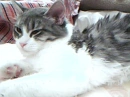 sisters