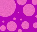 contest2