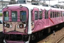 tren rosa