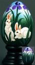 BUNNIES IN THE IRISES