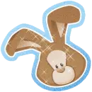 BROWN BUNNY
