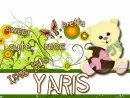 bear loves it_yaris