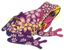 Brenda