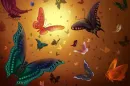 Butterflies