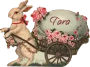 Easter Bunny - Tara