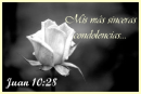 Mis mas sinceras condolencias