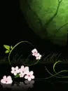 Flutterbys