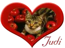 Apple cat Judi Thank You For Being My Friend