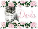 Silver Cat and Roses Darla Thank You For Being A Friend