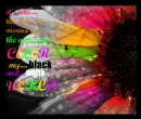 colorful world