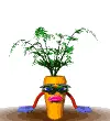 carrot