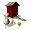 chick