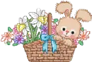 Bunny