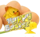 Happy
