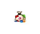 seed