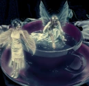 fairy 