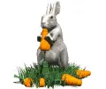 rabbit eating carrots