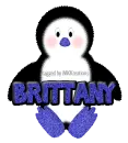 Baby Boy Penguin -Brittany-