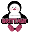 Baby Girl Penguin -Brittany-