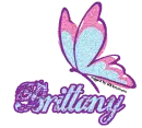 Side Facing Butterfly -Brittany-